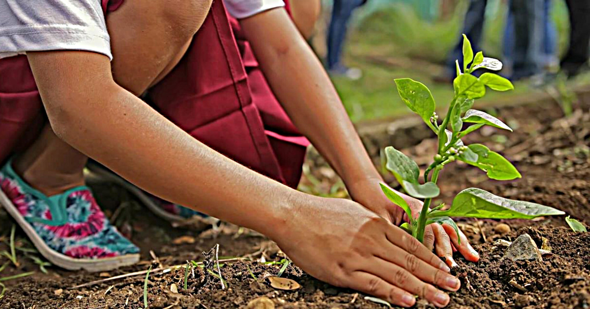 La carrera de Ingeniería Agroidustrial realiza la reforestración en  Camargo