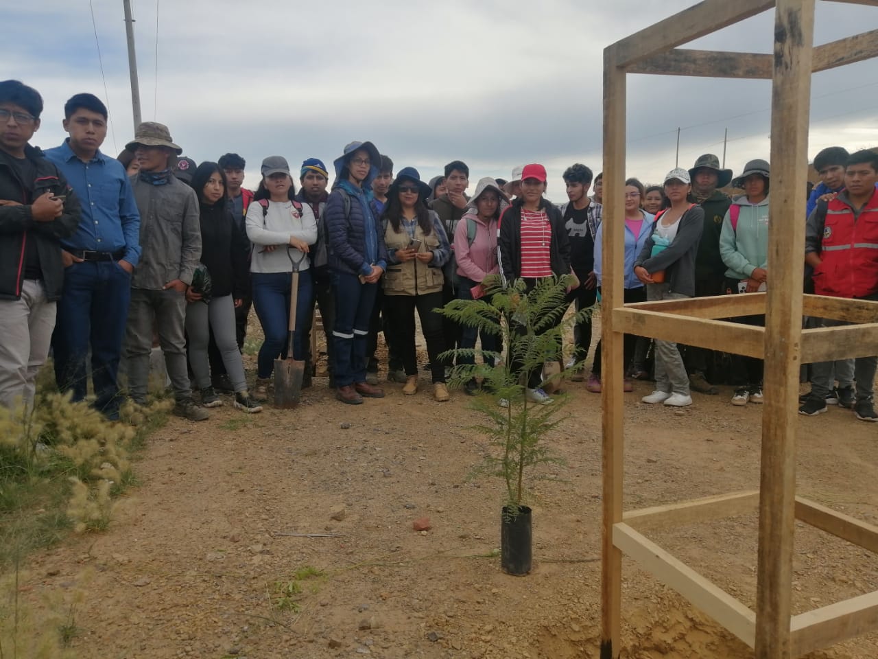 Estudiantes y docentes de Ciencias Agrarias plantaron árboles en la zona de Alcantarí